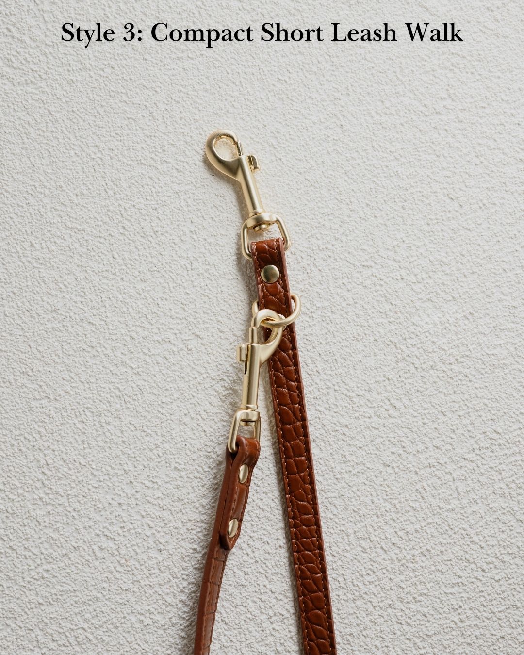 Verso Leash in Vintage Vanilla